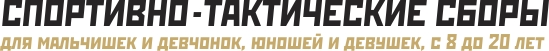 спортивно-тактические летние сборы спортивно-тактические летние сборы